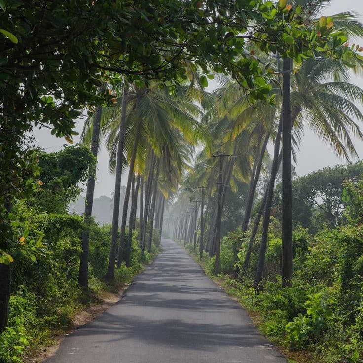 Cinematic Goa: Iconic Movies Filmed in the Coastal Paradise