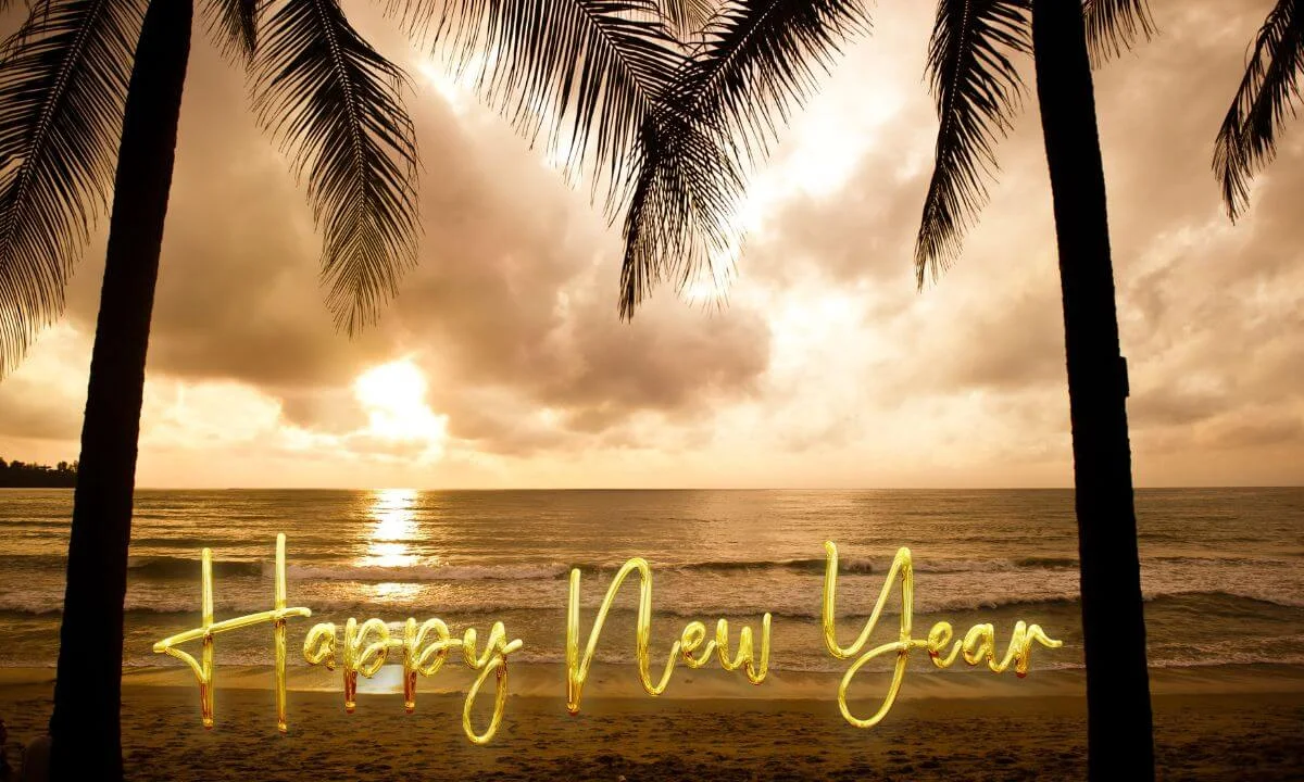 A Cleaner New Year in Goa