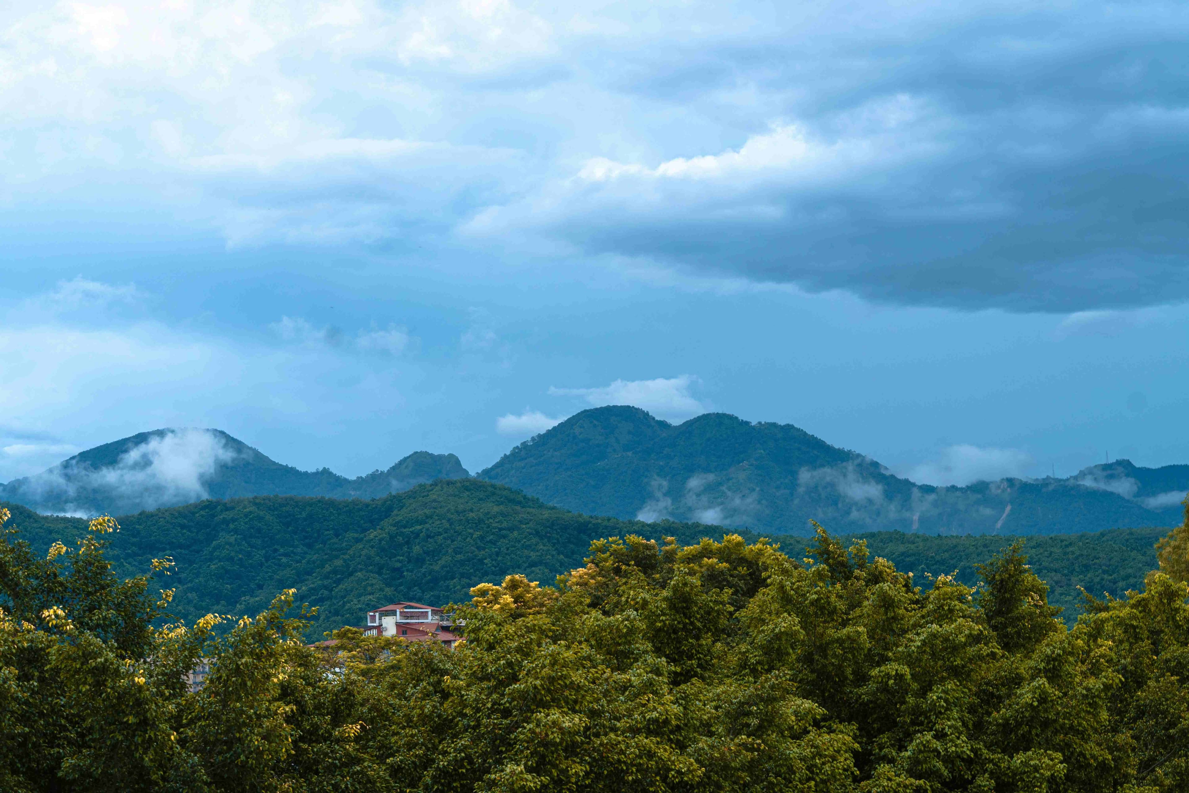 Top 7 Offbeat Treks in Nainital for Adventure and Serenity